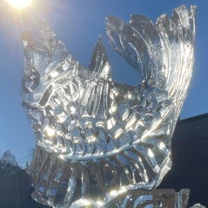 Meet your Posher, Spot